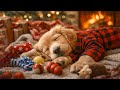 8 Hours Calming Music for Dogs | Separation Anxiety Relief & Deep Sleep🐶😴