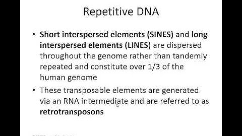 Week 6 lecture 7- repetitive DNA
