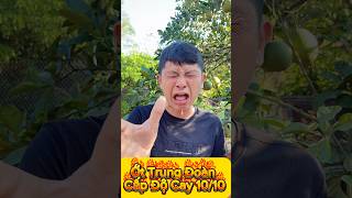 Thử Ăn Xoài Chua Chấm Cấp Độ Cay 10/10 + Ớt Trung Đoàn + Muối Tôm Chua Cay #shorts
