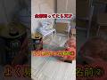 【豆知識】よく見るアレの名前クイズ②