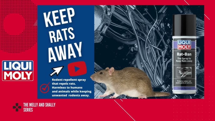 MIDAS - LMC Borokhoaneng - The spray to keep rats away! Liqui Moly Marder  Spray is a rat repellent spray that repels rats without harm to them or  other animals, perfect for