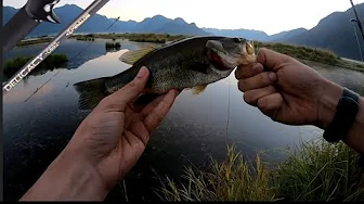 Breaking in Mavlos delicacy BFS fishing rod | Lower Mainland Vancouver fishing
