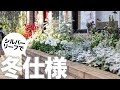 【冬仕様】シルバーリーフで花壇を真っ白に！！【花壇創世vol.13】