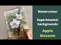 Watercolour experimental backgrounds: apple blossom