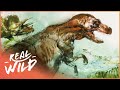 Hunting Dinosaur Across The American Wilderness | Time Team | Real Wild