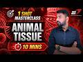 🚀 Animal Tissue | Complete Chapter for NEET 2026 🧬 | Full Concept + PYQs + Strategy