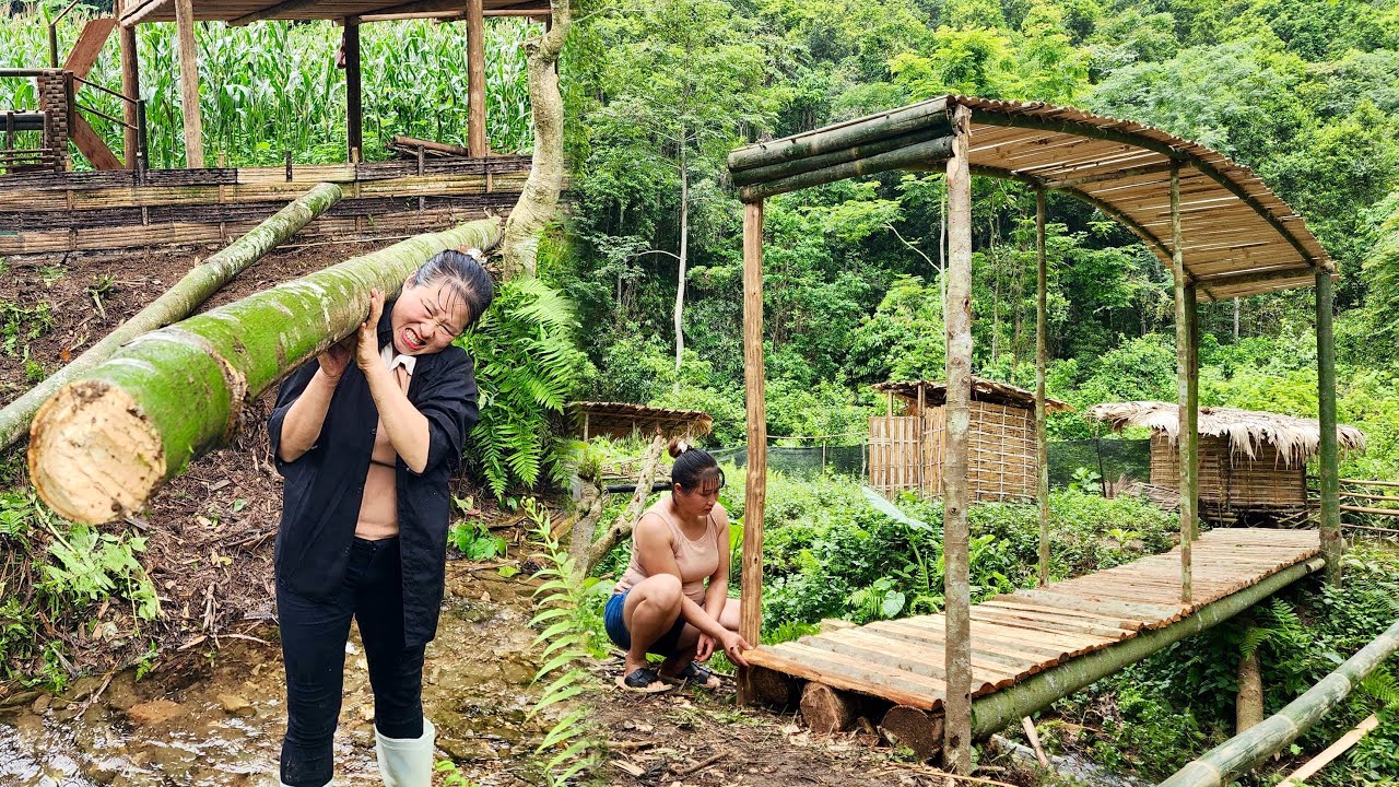 Girl Builds Wooden Bridge Over Stream | Build a Farm in the Wild Forest ...