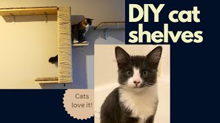 DIY Cat shelves and bed for your wall!