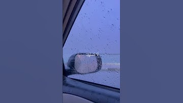 ياسر الدوسري | سورة الحشر [ 19 - 20 ]