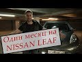 Месяц с Nissan Leaf/Ниссан Лиф 2014. AZE0 . Отзыв владельца . Выгодно ли иметь электрокар?