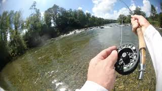 Flyfishing for Barbel and chub fish