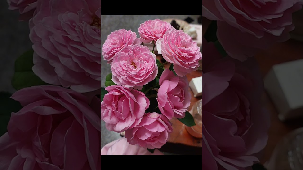 For Twin Flame journey. 