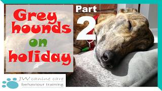 Greyhounds on Holiday Part 2