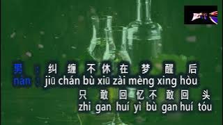 Bei Zhong Jiu Qing Ren Jiu 杯中酒情人旧 Vokal remix  Duet
