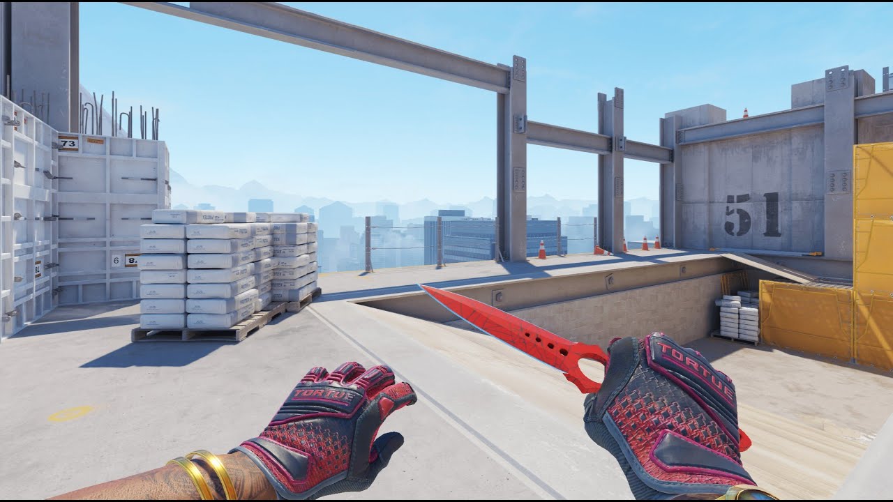 CS2 entry frag visualization A brain training method 