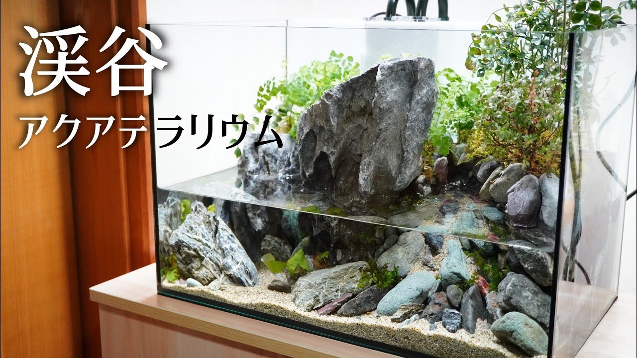 滝と川のあるアクアテラリウムの作り方 土台作りから完成まで Paludarium Making Video Youtube