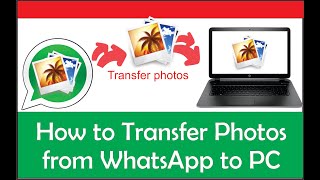 كيفية نقل الصور من WhatsApp إلى جهاز الكمبيوتر: احفظ صور WhatsApp على الكمبيوتر