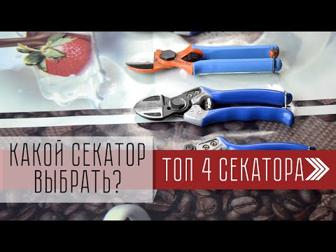 Какой Секатор Выбрать Инструменты Для Обрезки Деревьев. Топ 4. Vesco, Due Buoi. Обзор Товаров.