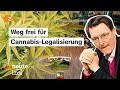 Kiffen wird ab April legal - Bundesrat billigt Lauterbachs Cannabis-Gesetz | ZDFheute live image