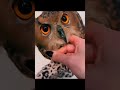 This woman helped a sick owl, when the owl recovered and was released #helping #respect #shorts