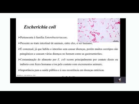 Vídeo: Mostrar nomes de arquivos criptografados ou compactados em cores no Windows