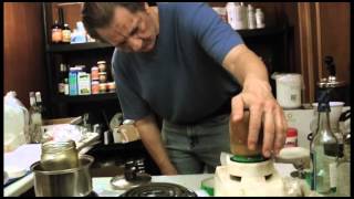 Liposome With Sunflower Lecithin