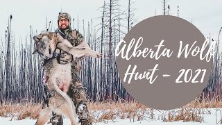 Alberta Wolf Hunting - 2021 screenshot 4