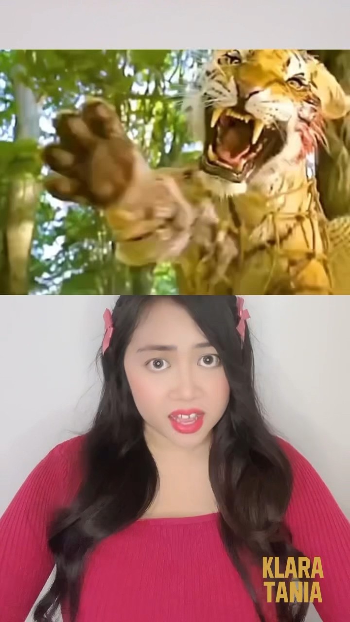 MANUSIA VS HARIMAU!!! | Klara Tania #shorts
