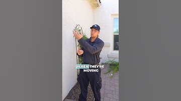 How to Keep Scorpions Out of Your Arizona Home | Monsoon Pest Control Tips