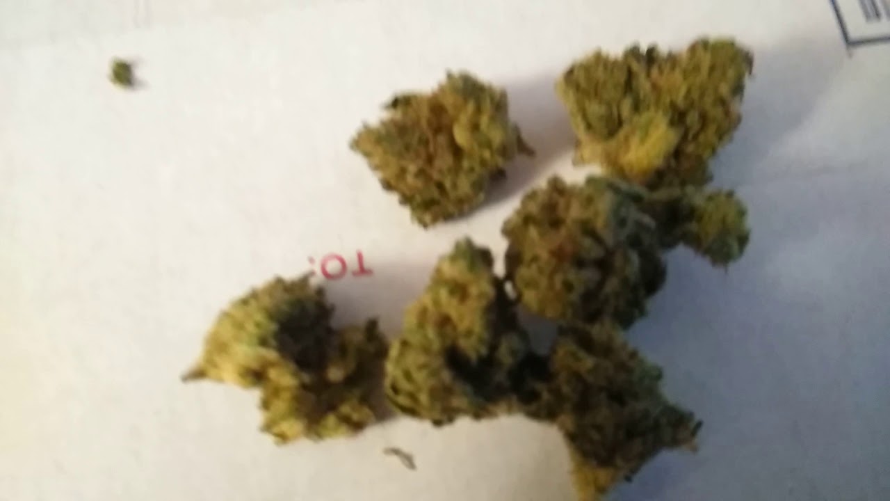 Poppa buds 39th Gladstone  cheapest place in town