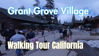 🌲 Explore the Hidden Gem of Kings Canyon National Park - Grant Grove Village - Walking Tour🌲