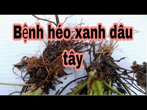 Video: Làm cách nào để biết căn hộ đã được cổ phần hóa hay chưa? Các cách cơ bản