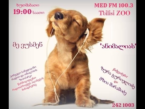 ანიმალია_14.05.2015