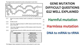 Difficult gene mutation questions made easy (g12)