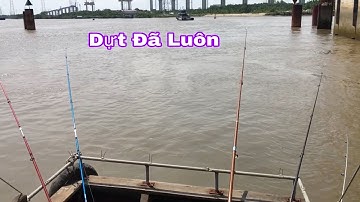 Câu cá ngát trên ghe - sông Mương Chuối huyện nhà bè