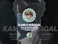Xamle Magal : À ne pas rater du 1er au 19 Safar 1445H ! A suivre......