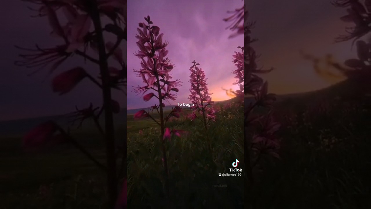 somewhere only we know cover 