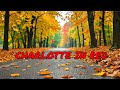 CHARLOTTE in RED! Breathtaking Autumn Drive Through UNC Charlotte!