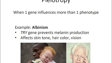 Complex Inheritance Patterns