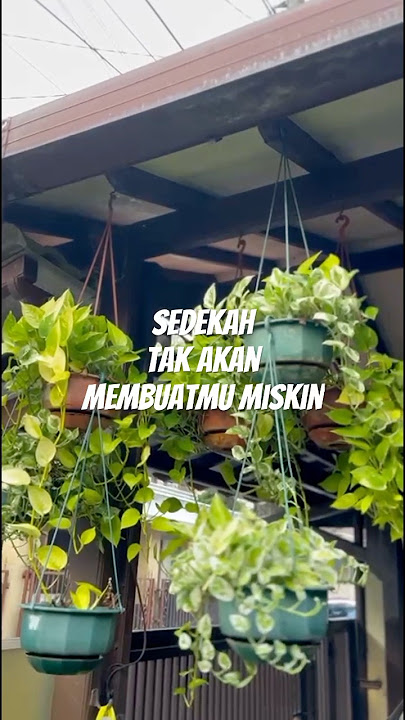 Sedekah tak akan membuatmu miskin #shorts#katabijak#sedekah#miskin#tak#akan#membuat
