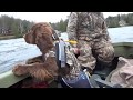 Sussex Spaniels First Duck Hunt の動画、YouTube動画。