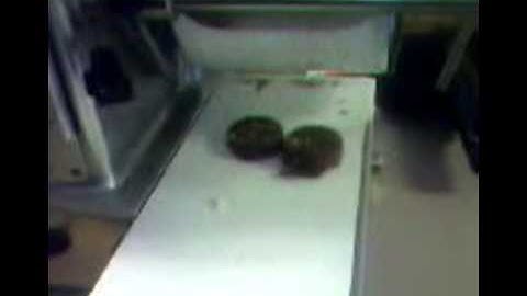 BakeryMachinery.Net Cookie Former Thick cookie two rows output.mp4