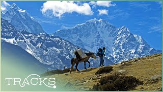 The Horseman of Mount Everest: Life of A Special Sherpa | Full Documentary | TRACKS