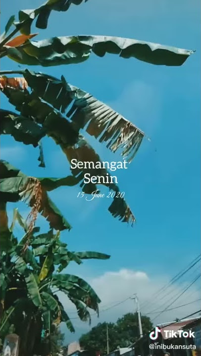 Selamat hari senin semoga pada semangat ya🙂🙂