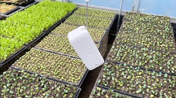 栽培管理に最適！switchbot防水温湿度計の使い方