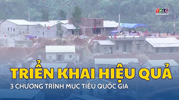 Triển khai có hiệu quả 3 Chương trình mục tiêu quốc gia | THLC