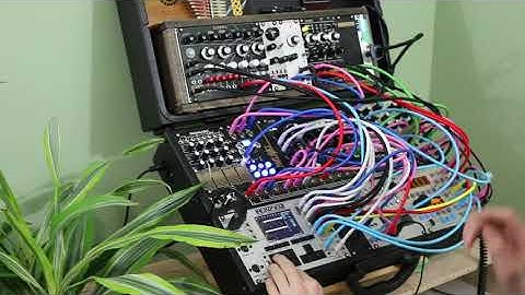 "Merry Christmas Mr. Lawrence" ~ Eurorack Modular Arrangement // Nerdseq, ER-301, Braids, Elements