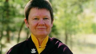 (Guided Meditation) Increase Mindfulness, Awareness, Calm Abiding & Special Insight ♡ Pema Chodron