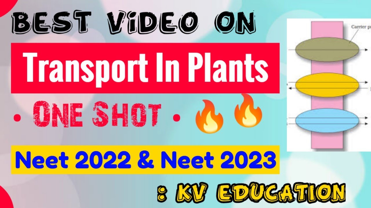 "Transport In Plants" One Shot🔥🔥| for Neet 2022 & Neet 2023 | Class 11th Biology | KV eDUCATION