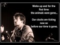 Damien rice - Animals were gone (Lyrics)